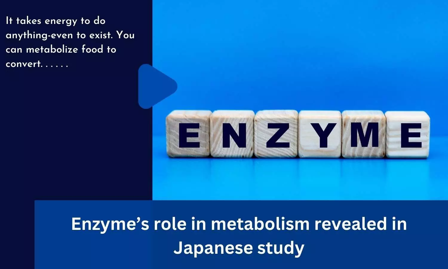 Enzymes role in metabolism revealed in Japanese study