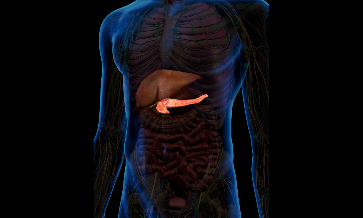 pancreatic-cancer-causes-symptoms-and-treatments