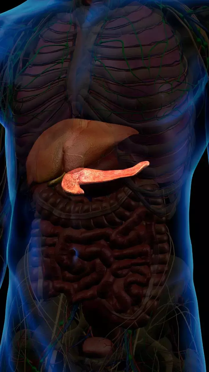 Pancreatic Cancer; Causes, Symptoms, And Treatments