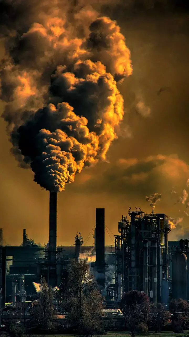 Large Study Shows, Air Pollution Speeds Bone Loss from Osteoporosis