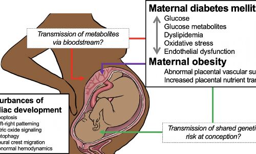 Offsprings exposed to maternal hypertensive disorders during pregnancy at increased diabetes risk
