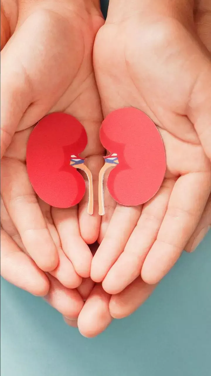 World Kidney Day 2023