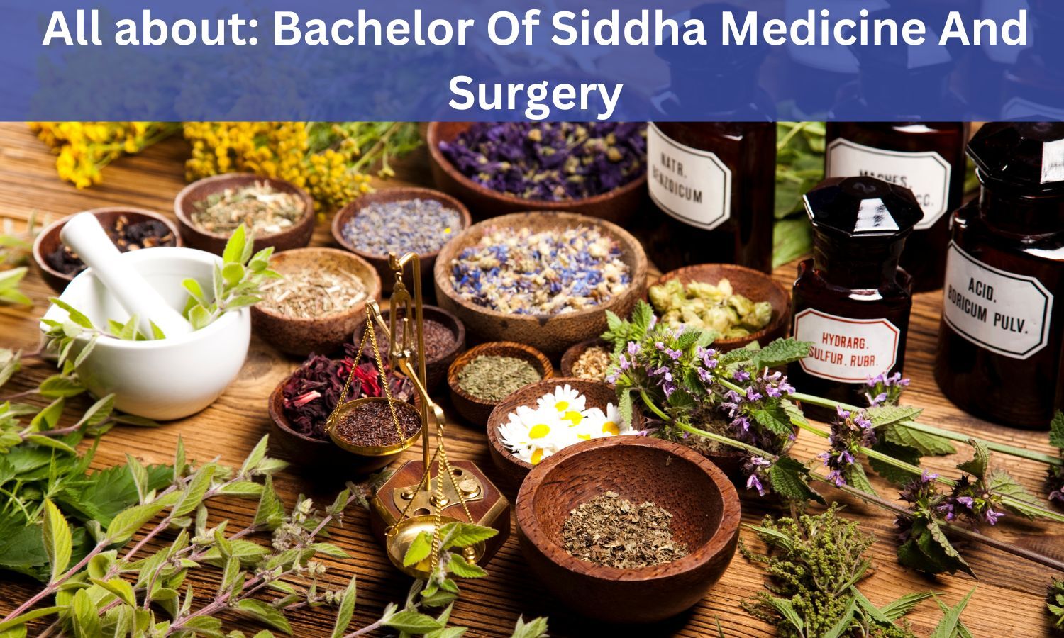 siddha-yoga-and-meditation-center-miami-florida-united-states