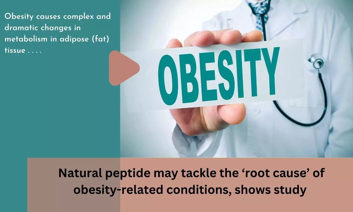 Natural peptide may tackle the root cause of obesity-related conditions, shows study