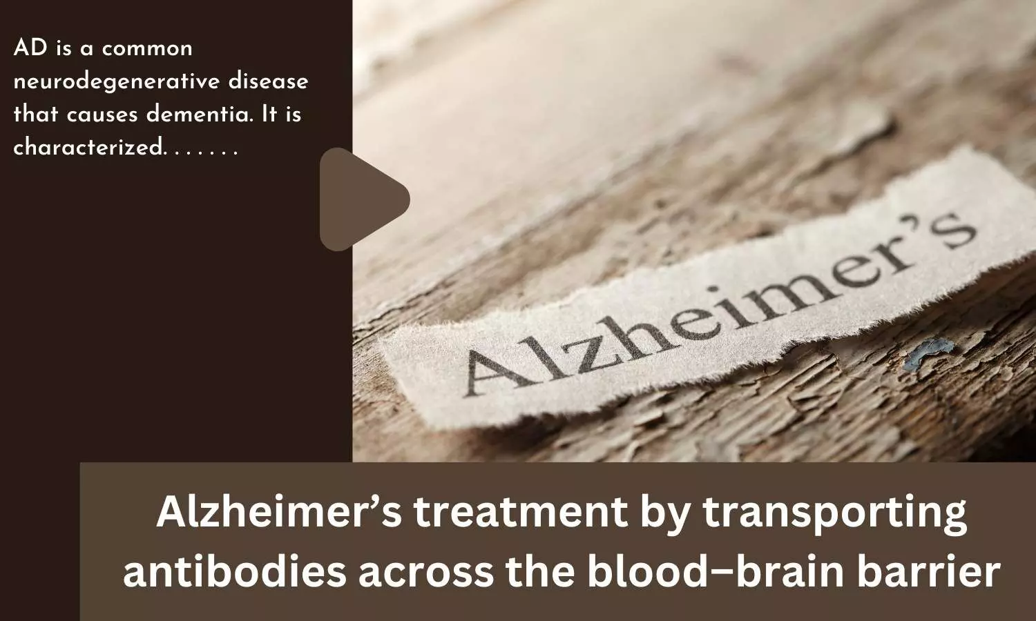 Alzheimers treatment by transporting antibodies across the blood-brain barrier