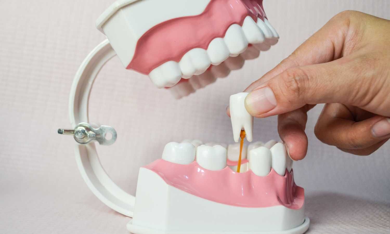 Tooth Loss or gum health Linked to Weight Gain, reveals research