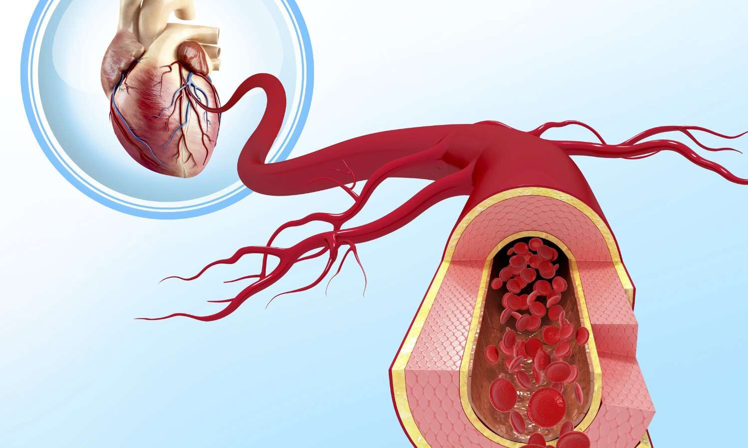 CRP closely related to cardiac repolarization in patients with coronary artery disease in contrast to patients with cirrhosis: Study