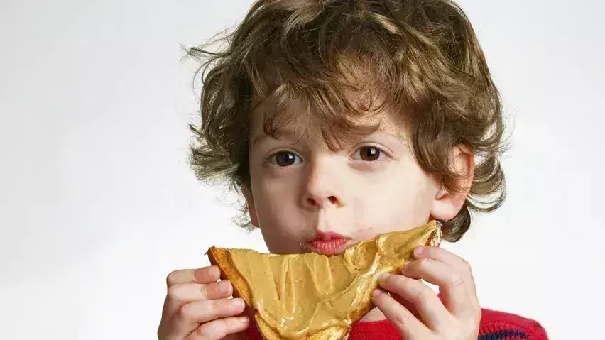 Delayed Introduction of Major Allergenic Foods may Increase Allergy Risk among children
