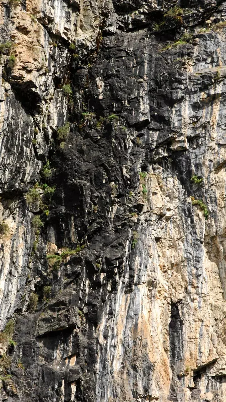 Understanding The Benefits Of Shilajit For Heart Health