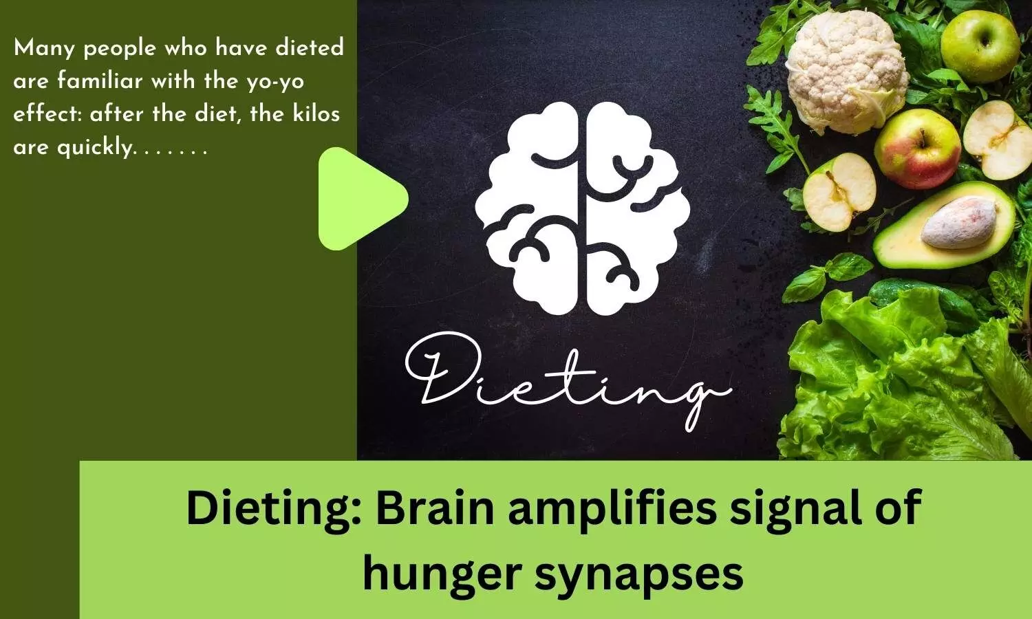 Dieting: Brain amplifies signal of hunger synapses