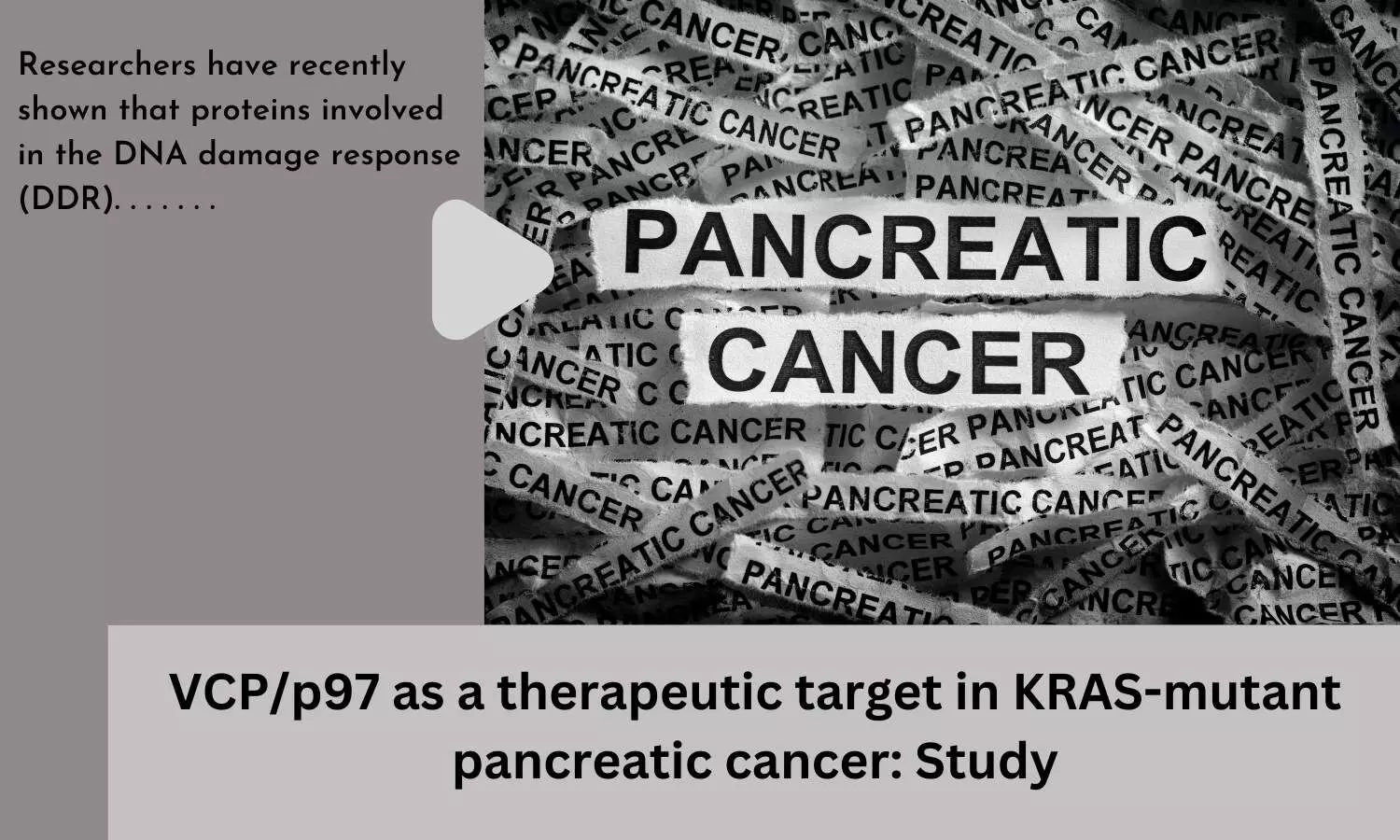 VCP/p97 as a therapeutic target in KRAS-mutant pancreatic cancer: Study
