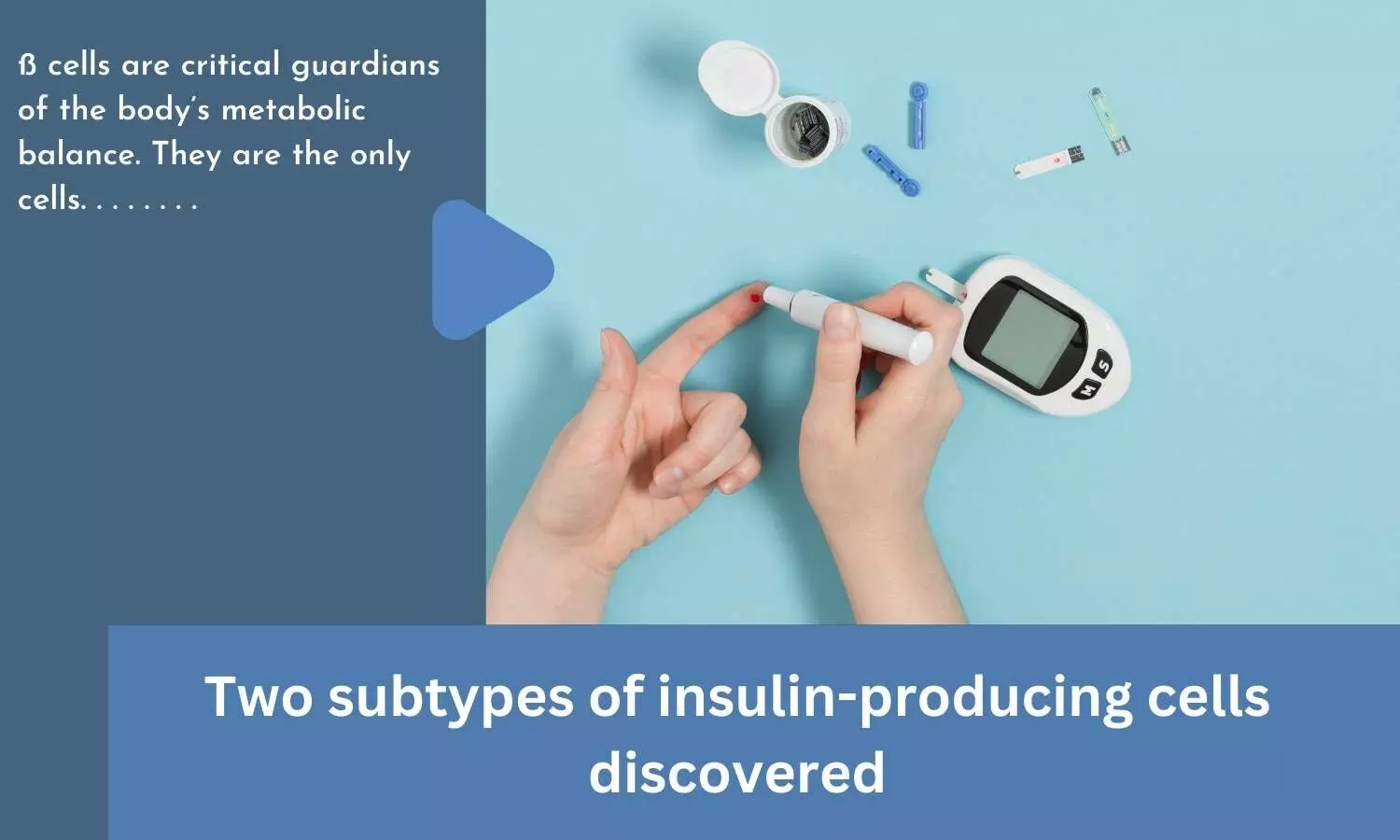 Two subtypes of insulin-producing cells discovered