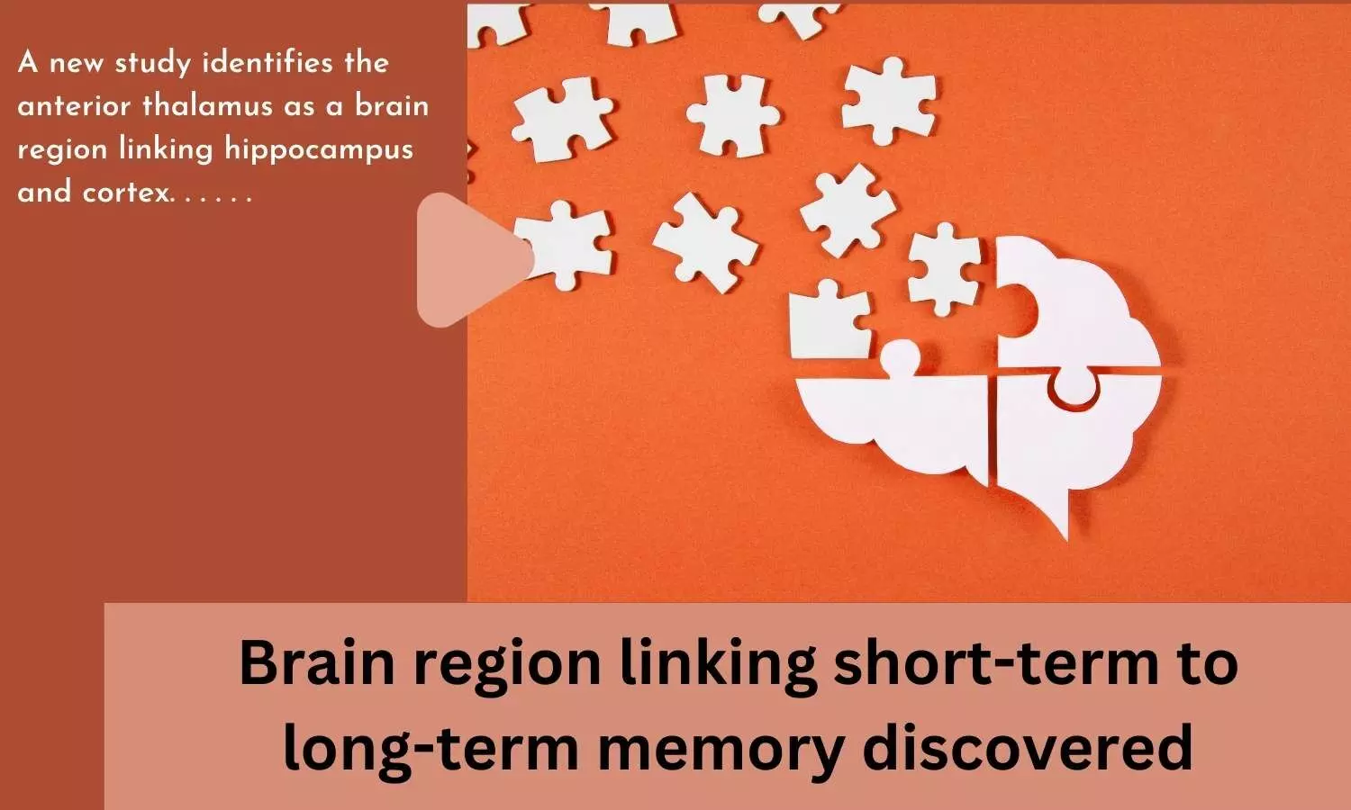 Brain region linking short-term to long-term memory discovered