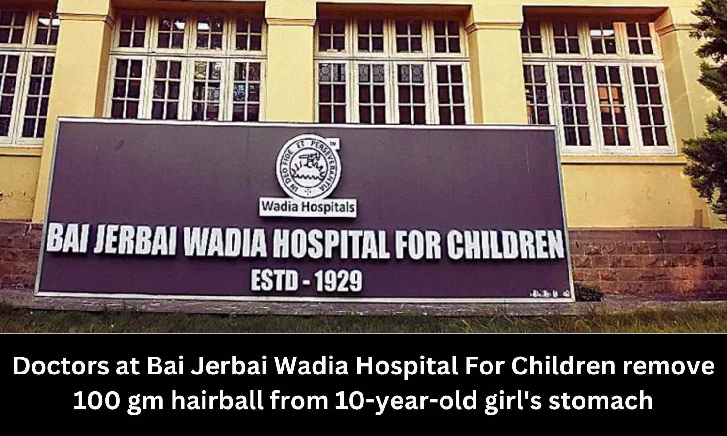Doctors remove 100 gm hairball from stomach of minor girl