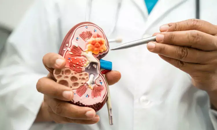 Researchers develop an artificial kidney for early detection of adverse drug reactions