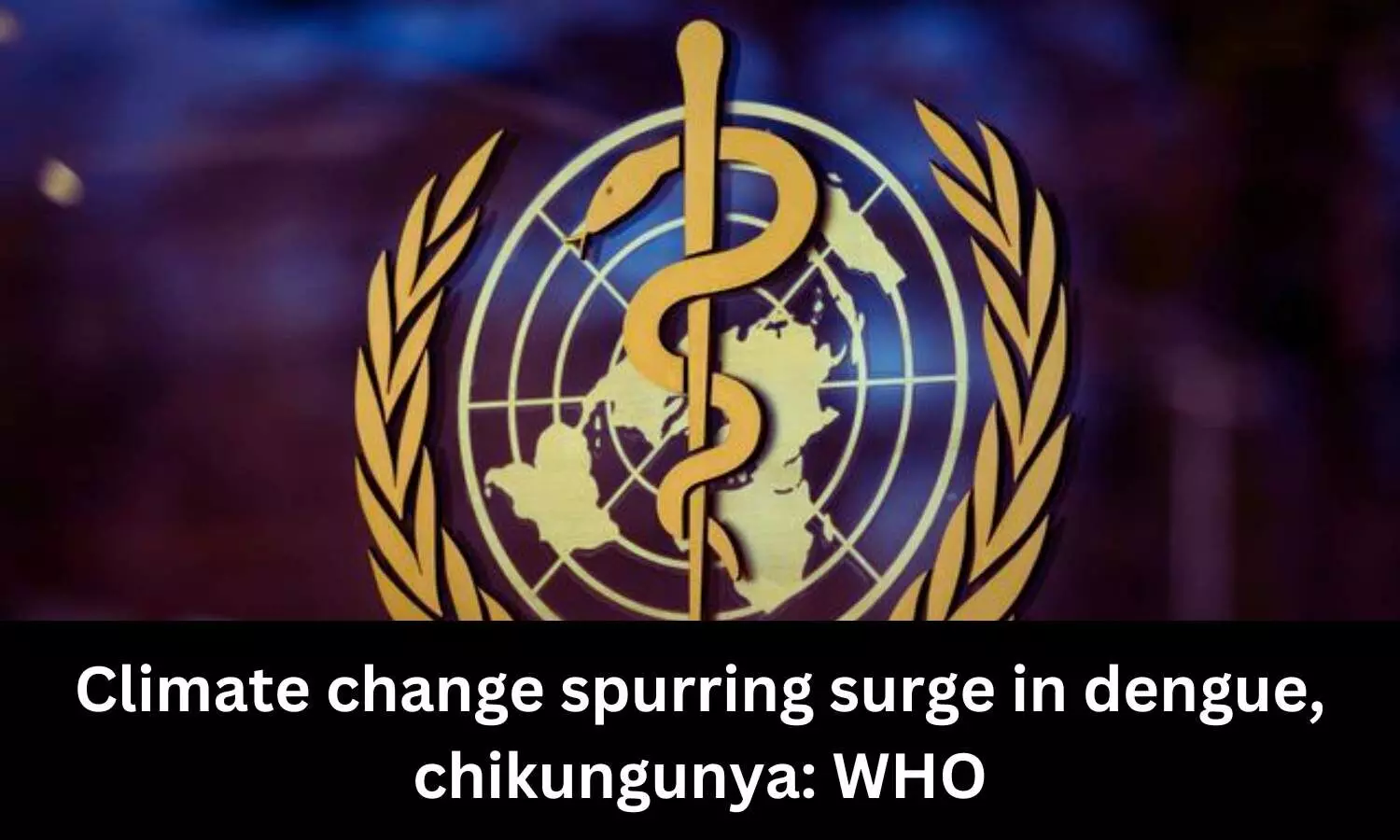 Climate change spurring surge in dengue, chikungunya: WHO