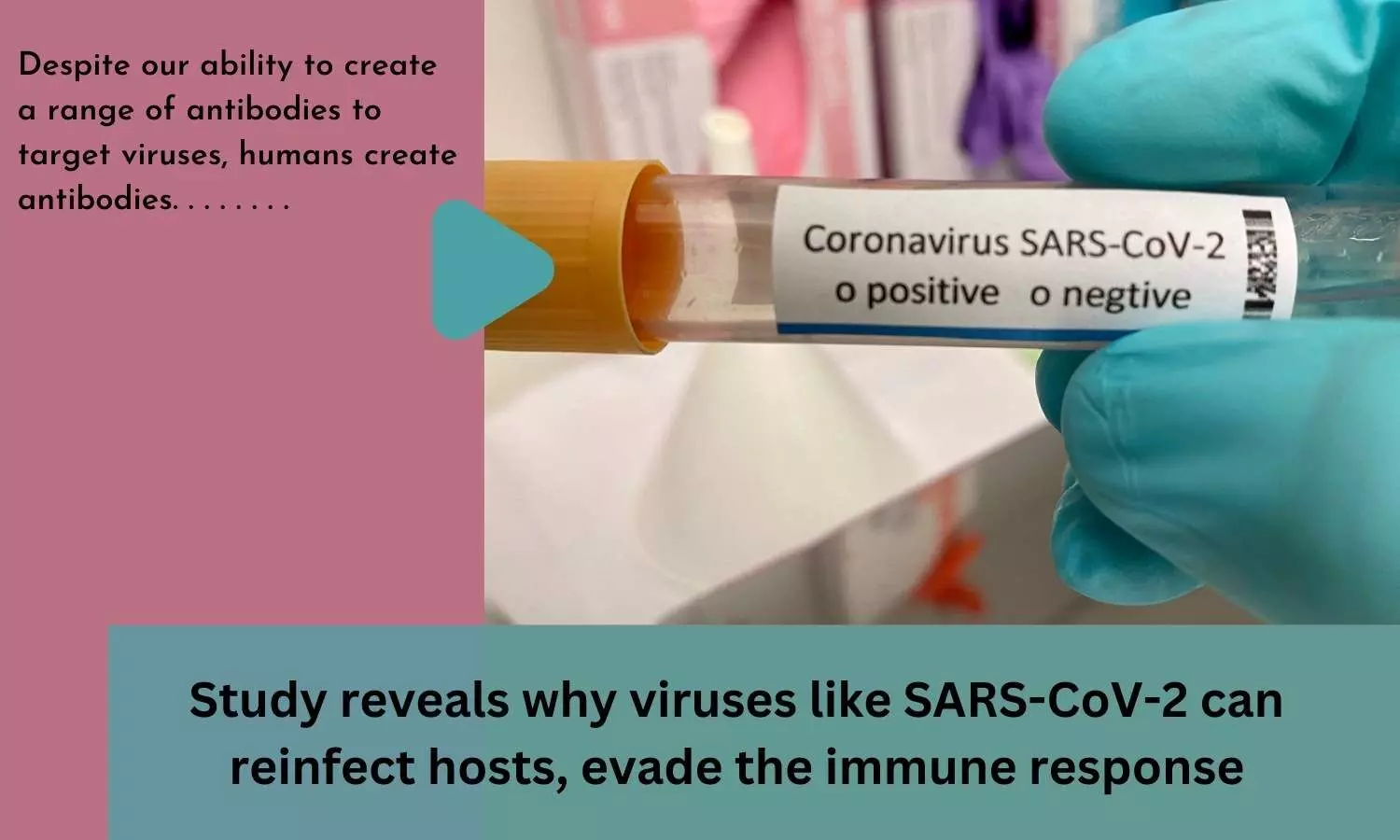 Study reveals why viruses like SARS-CoV-2 can reinfect hosts, evade the immune response
