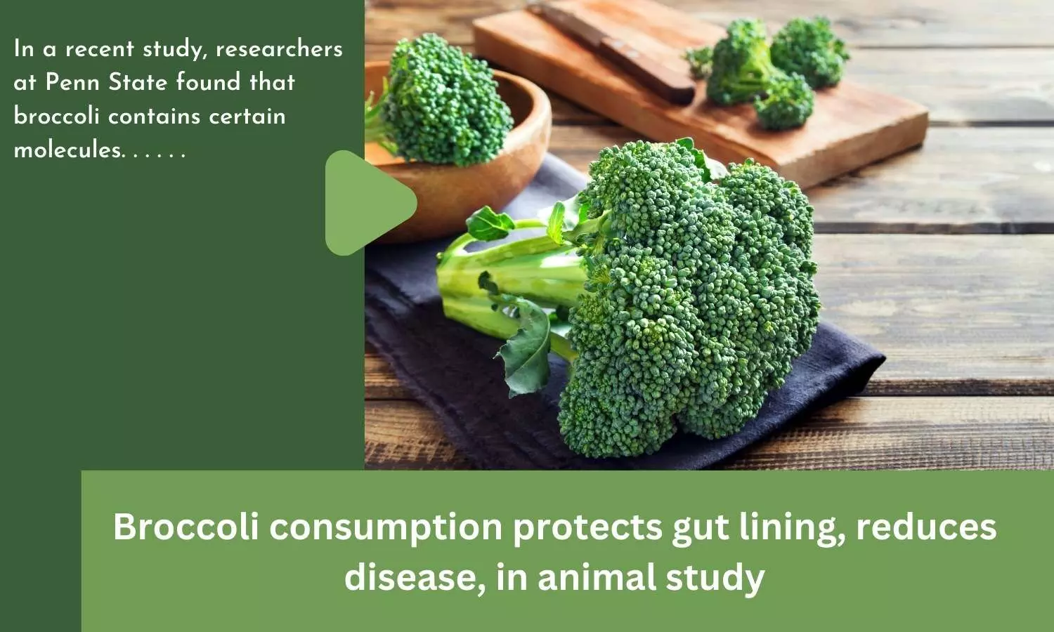 Broccoli consumption protects gut lining, reduces disease, in animal study