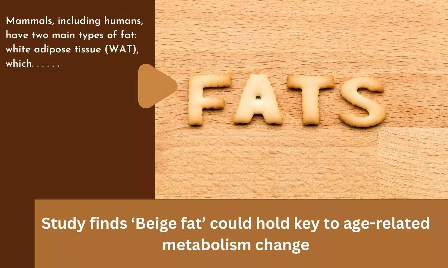 Study finds Beige fat could hold key to age-related metabolism change