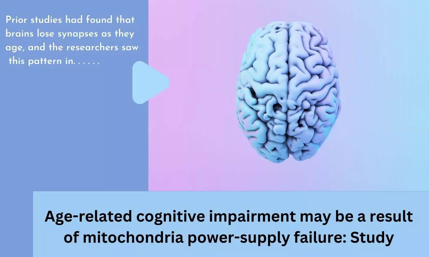 Age-related cognitive impairment may be a result of mitochondria power-supply failure: Study