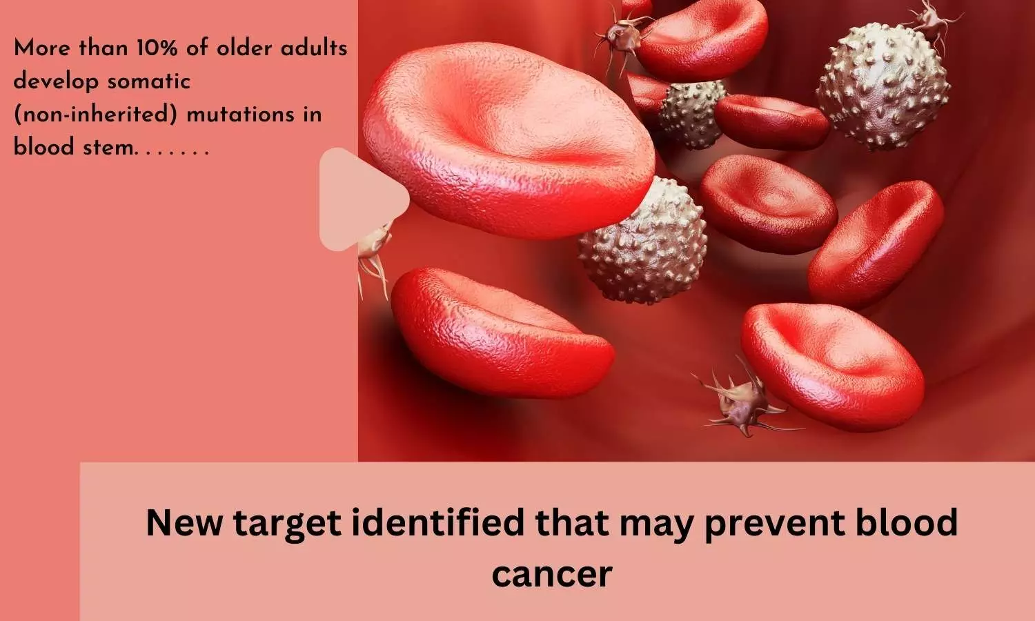 New target identified that may prevent blood cancer