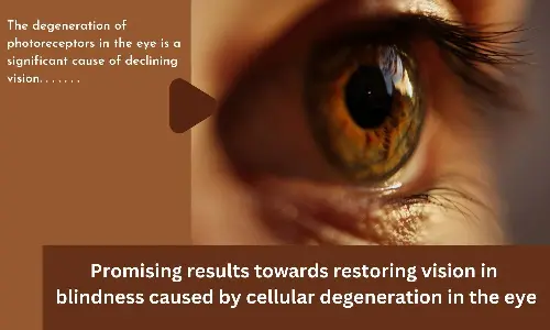 Promising results towards restoring vision in blindness caused by cellular degeneration in the eye