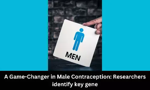 A Game-Changer in male contraception: Researchers identify key gene