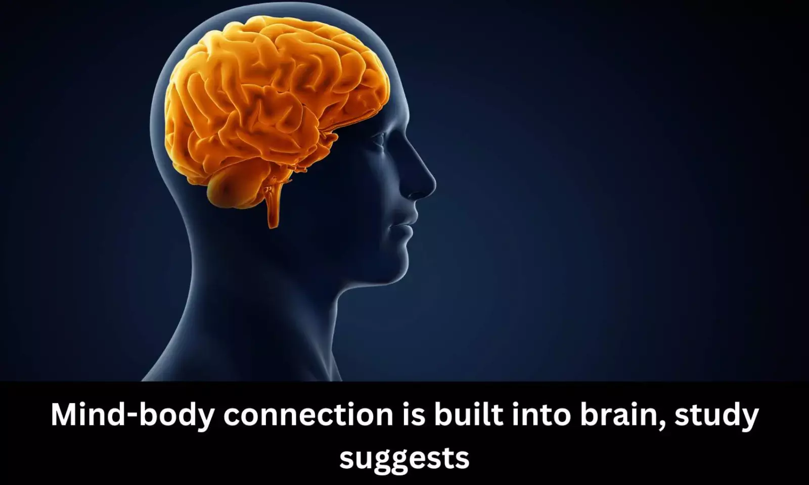 Mind-body connection is built into brain, study suggests
