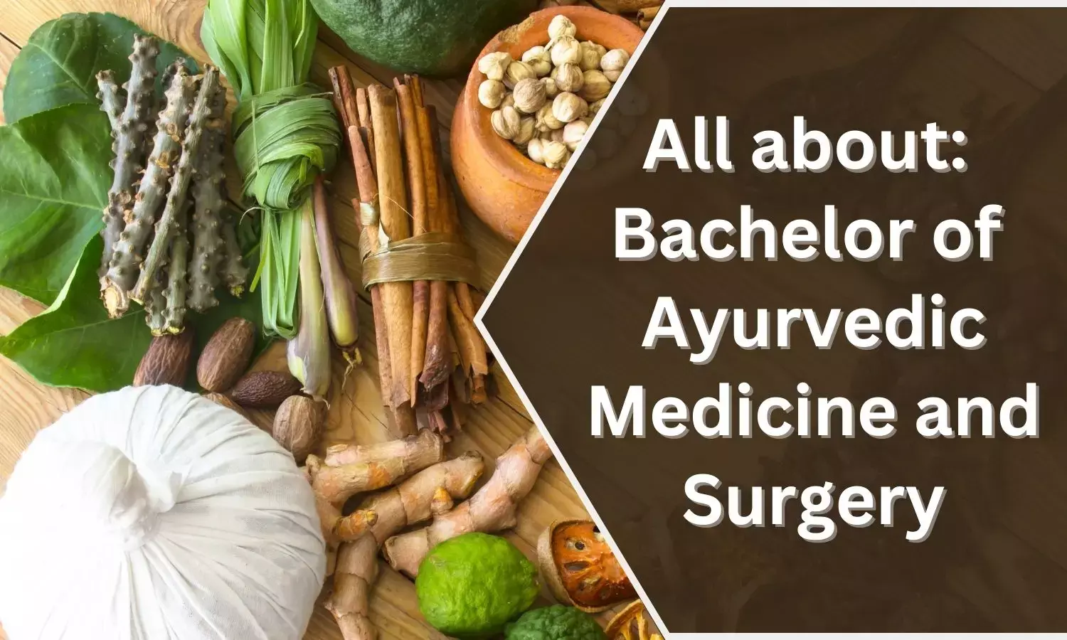 All About BAMS in India Full form Admissions Ayurveda colleges