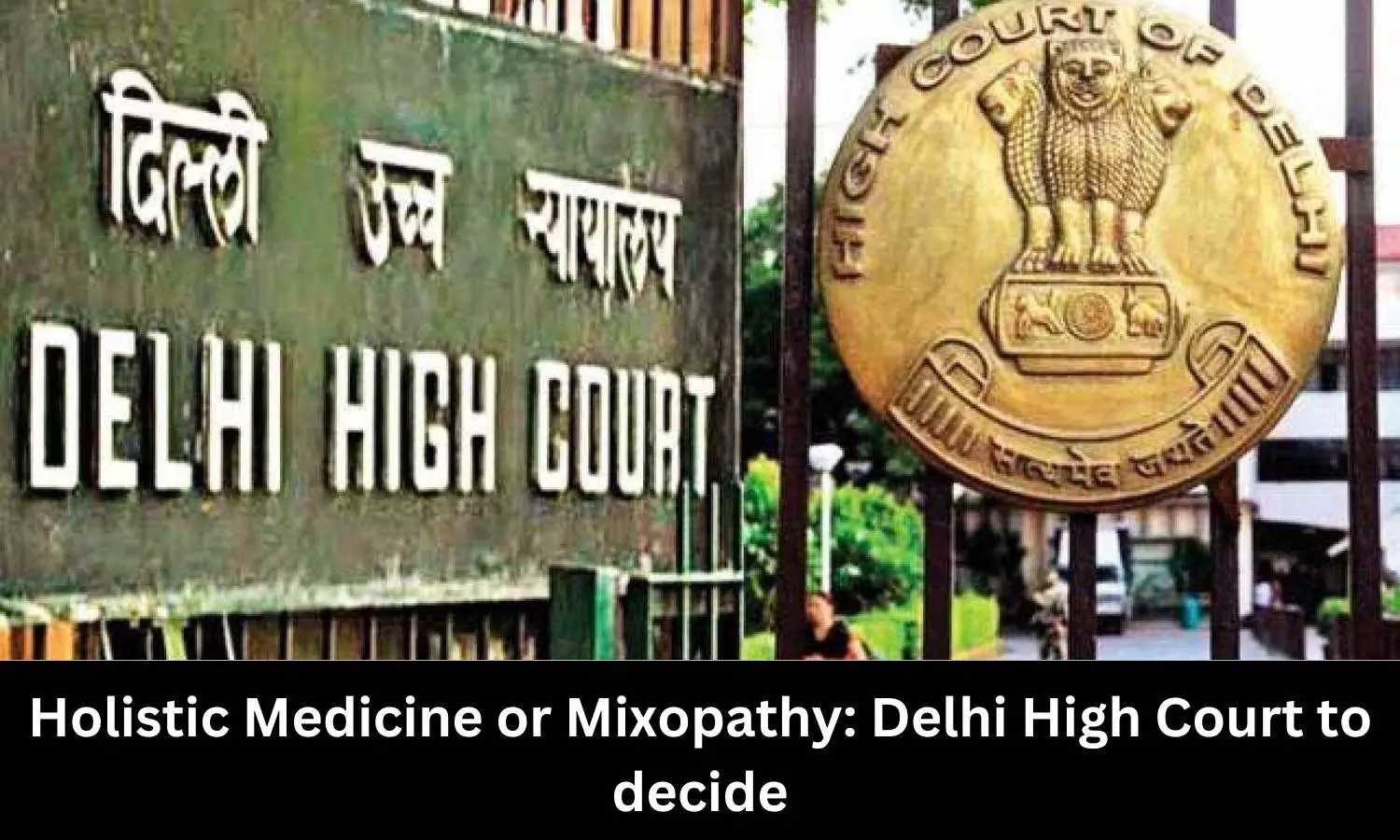 Holistic Medicine or Mixopathy: Delhi HC to decide