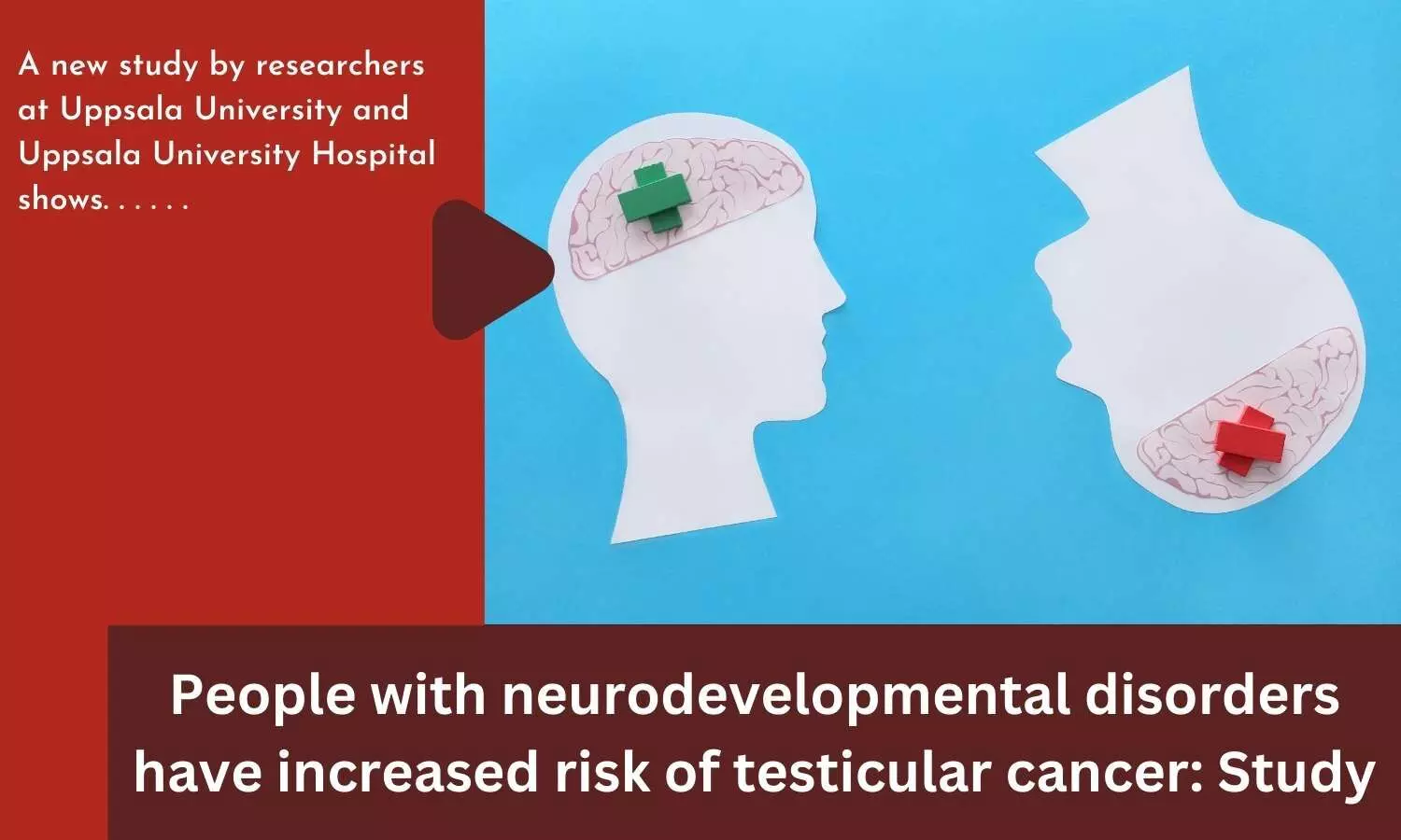 People with neurodevelopmental disorders have increased risk of testicular cancer: Study