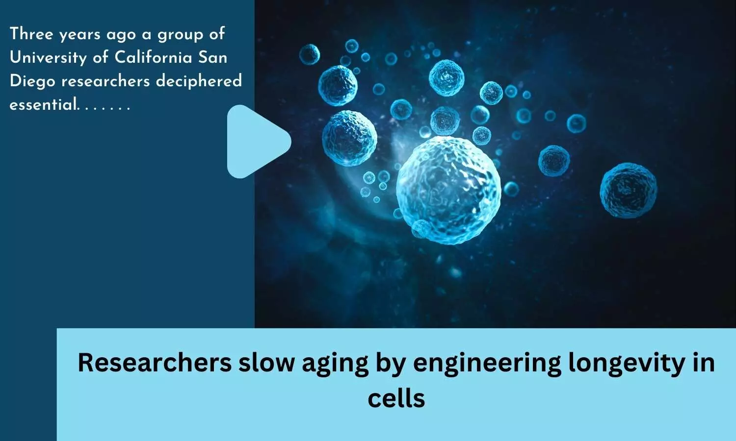 Researchers slow aging by engineering longevity in cells