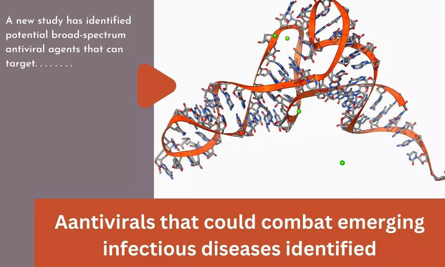 Aantivirals that could combat emerging infectious diseases identified
