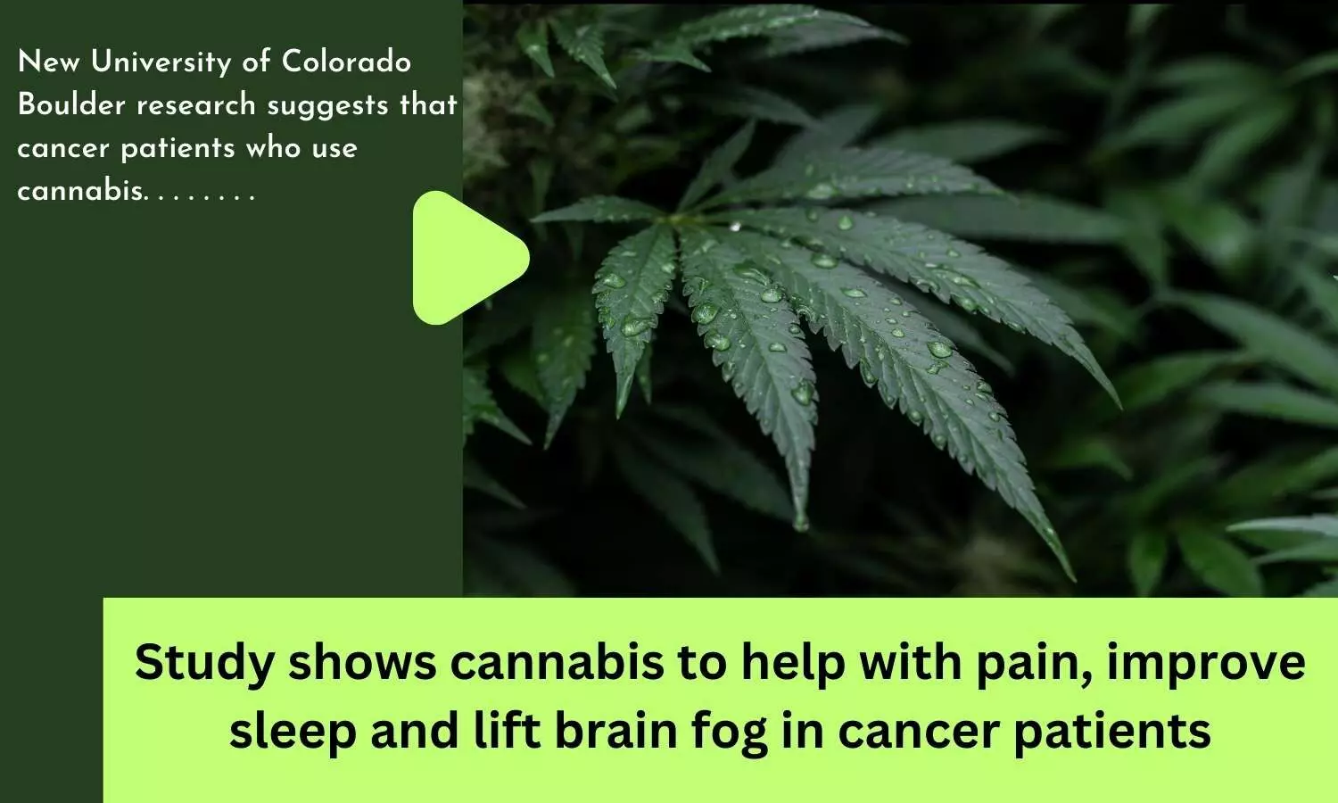 Study shows cannabis to help with pain, improve sleep and lift brain fog in cancer patients