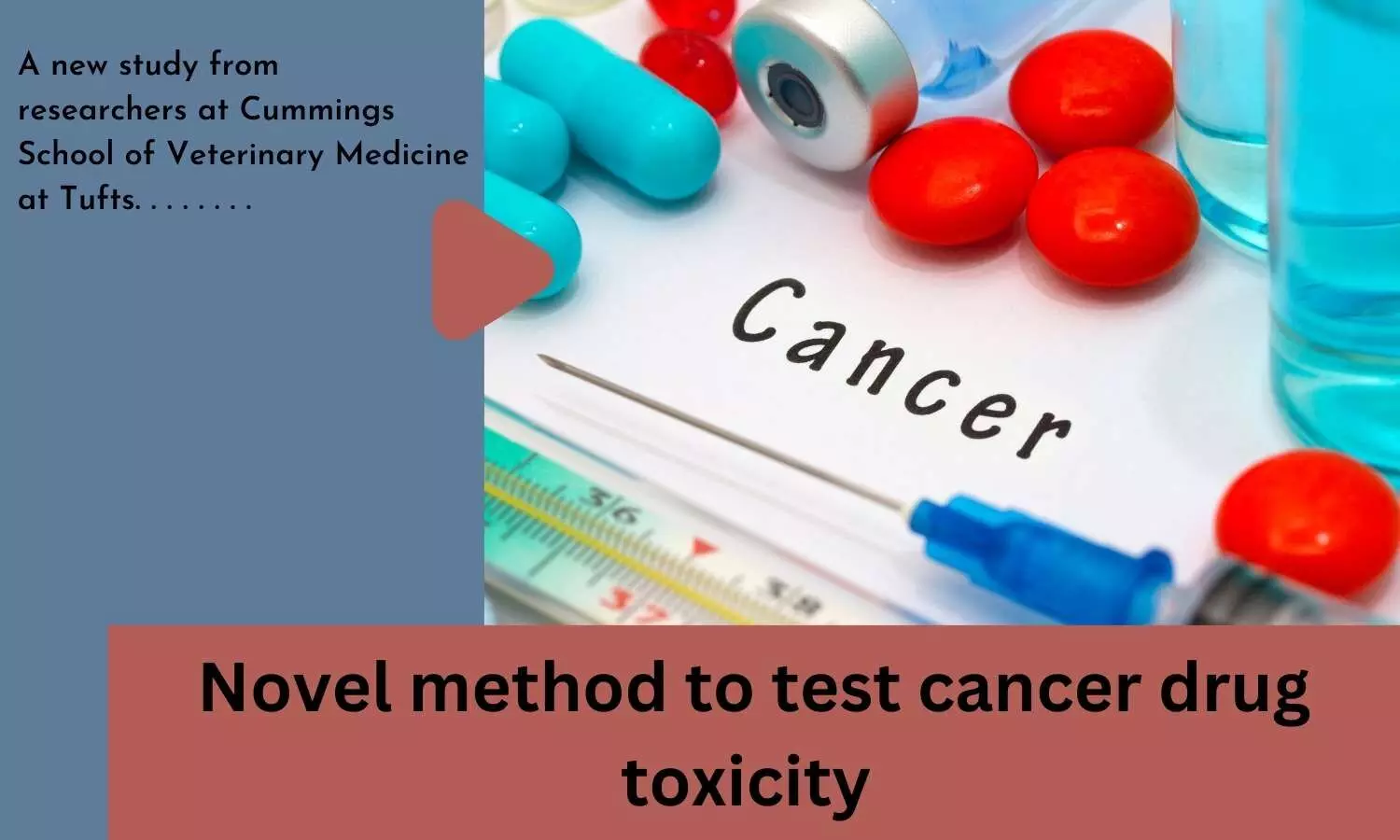 Novel method to test cancer drug toxicity