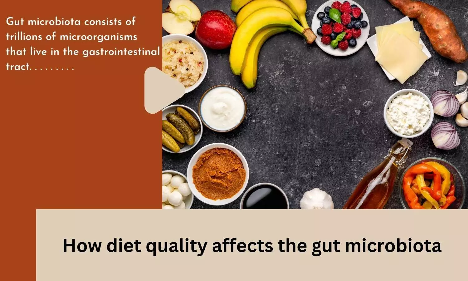 How diet quality affects the gut microbiota