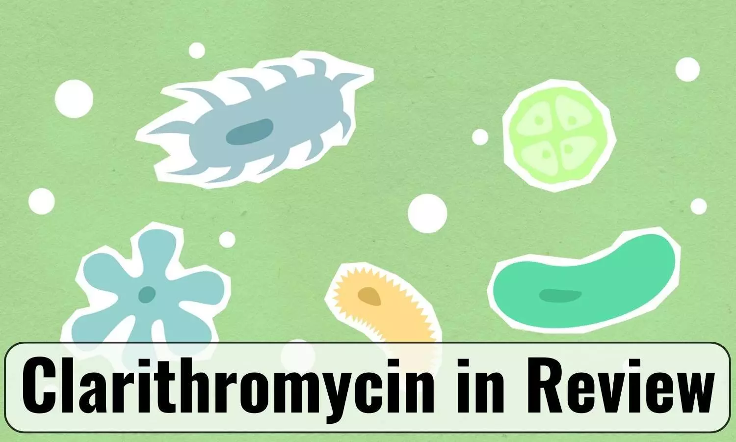 Clarithromycin-Quick Review of Its Unique Antibiotic Spectrum and Therapeutic Use