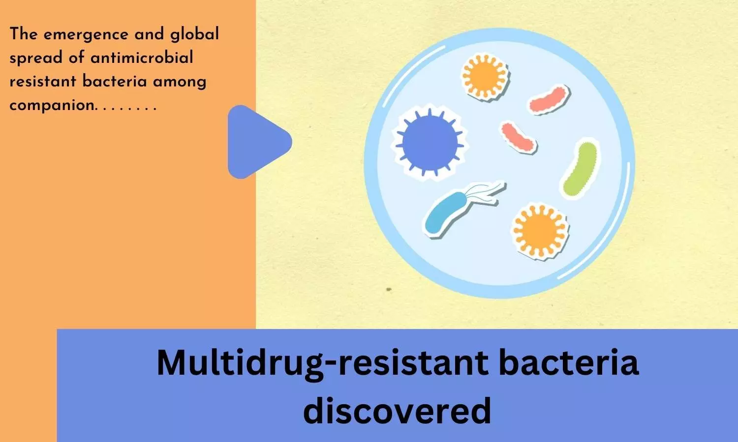 Multidrug-resistant bacteria discovered