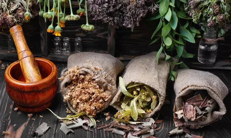 Gujarat Declaration: WHO releases document of Traditional Medicine Global Summit 2023