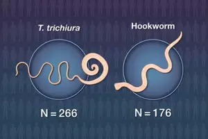 Emodepside found effective against T. trichiura, roundworm and hookworm infestation