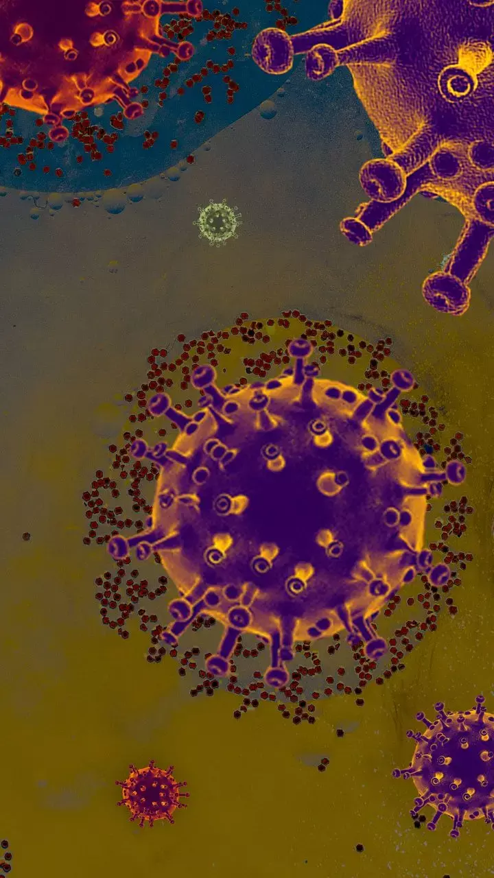 WHO Unveils Global Network For Early Detection Of Infectious Disease Threats