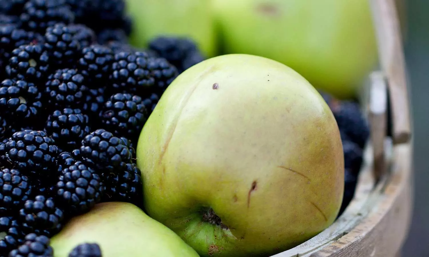 Eating flavonol-rich foods like blackberries and apples can prevent frailty