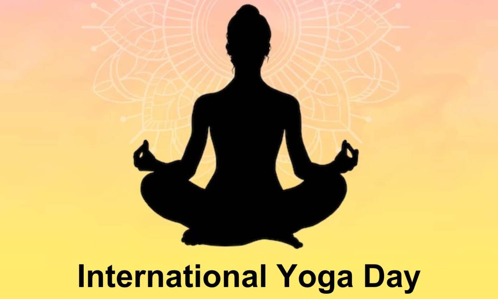 NMC Directs All Medical Colleges To Organize International Yoga ...