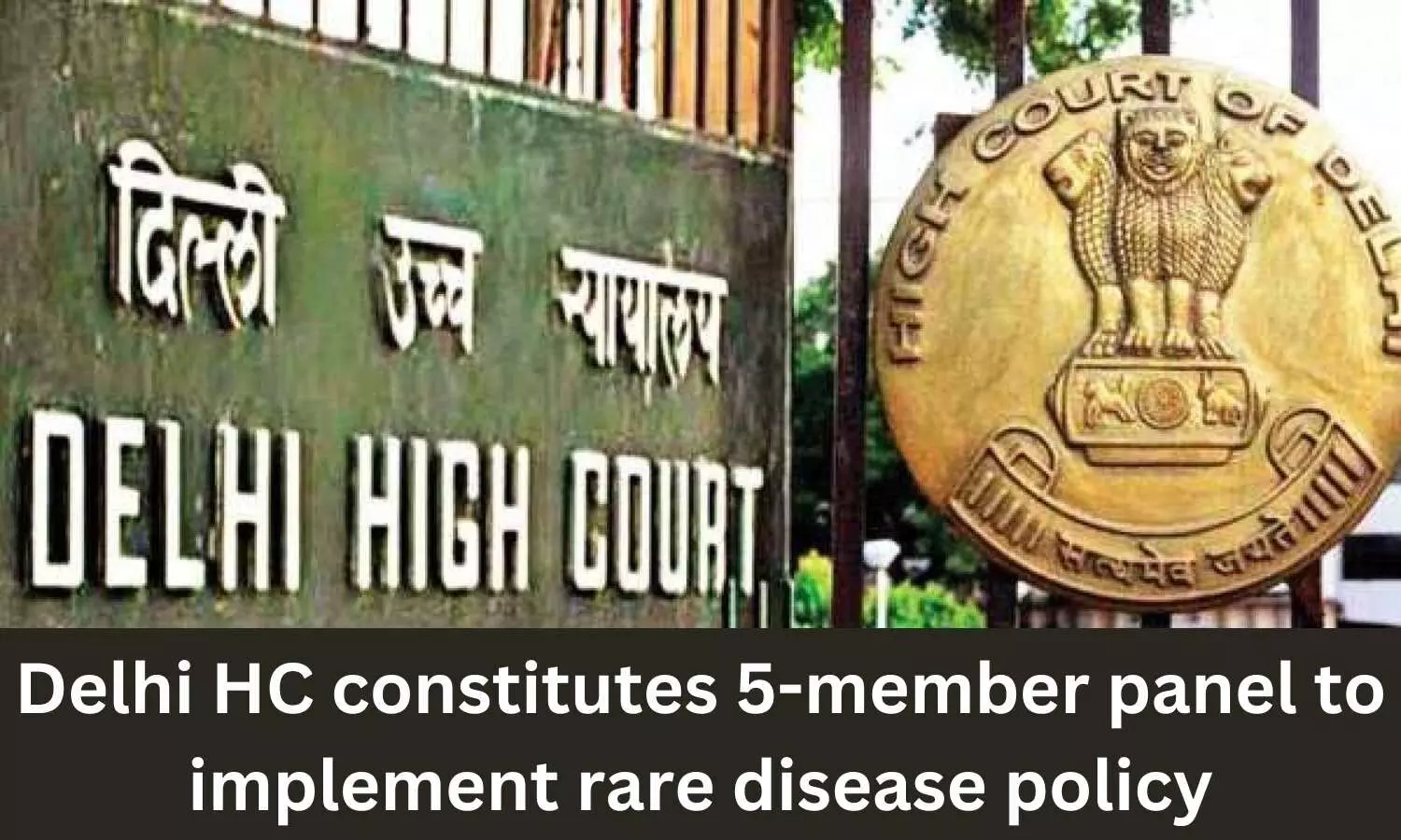 Delhi HC constitutes 5 member panel to implement rare disease policy