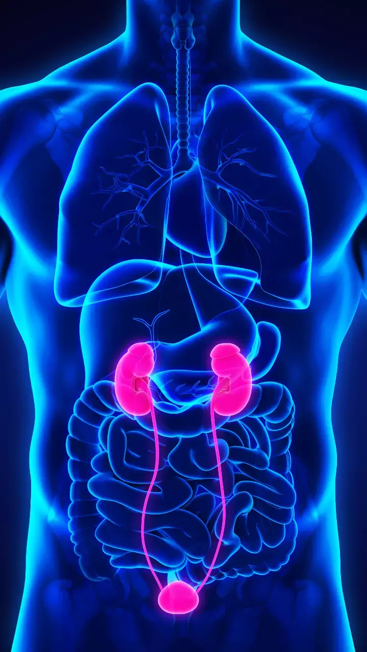 Renew And Revitalize: 7 Kidney-Cleansing Power Foods