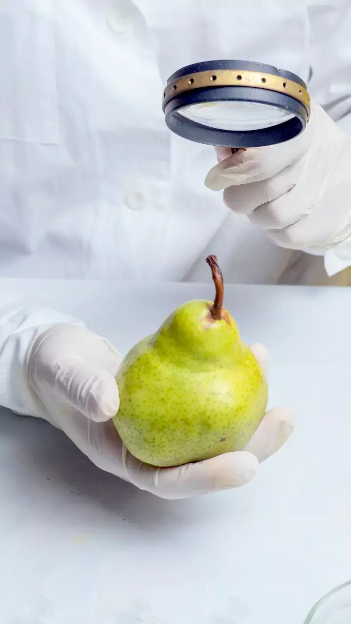 World Food Safety Day 2023