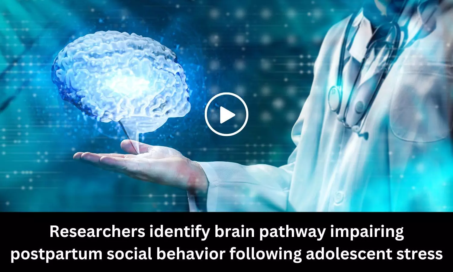 Researchers identify brain pathway impairing postpartum social behavior following adolescent stress