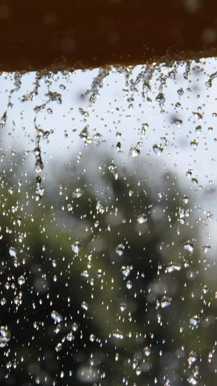 7 Tips To Protect Your Well-being During This Monsoon Season