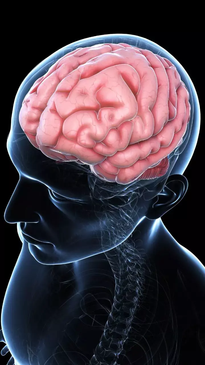 8 Proven Ways To Boost Your Brain And Sharpen Cognition