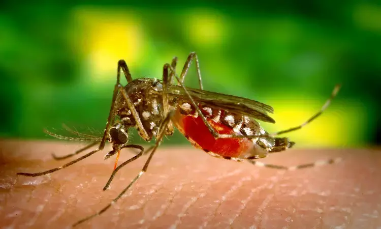 Even mild Maternal infection of dengue virus may impact birth outcomes